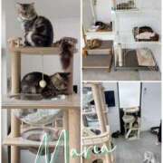 ヒメ日記 2025/06/20 10:25 投稿 マリア女王様 Club-Embassy