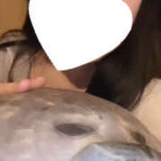 ヒメ日記 2025/03/11 23:30 投稿 あかり ビギナーズ神戸