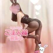 ヒメ日記 2025/01/26 09:20 投稿 こころ Ｓ＆Ｍ　極嬢