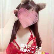 ヒメ日記 2025/02/20 19:20 投稿 こころ Ｓ＆Ｍ　極嬢