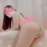 ヒメ日記 2025/03/27 07:40 投稿 こころ Ｓ＆Ｍ　極嬢