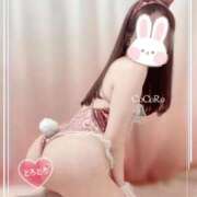 ヒメ日記 2025/09/26 10:54 投稿 こころ Ｓ＆Ｍ極嬢