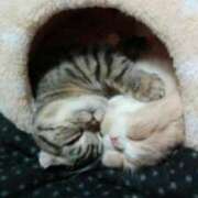 ヒメ日記 2025/06/15 20:55 投稿 りんか 熟女総本店