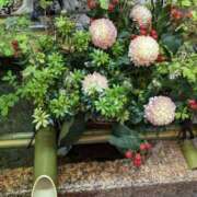 ヒメ日記 2025/06/15 21:12 投稿 りんか 熟女総本店