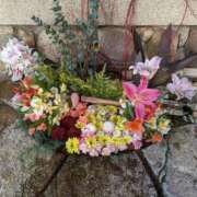 ヒメ日記 2025/07/23 19:15 投稿 りんか 熟女総本店