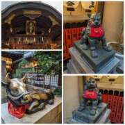 ヒメ日記 2025/07/24 16:55 投稿 りんか 熟女総本店