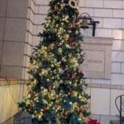 ヒメ日記 2025/12/25 16:18 投稿 りんか 熟女総本店