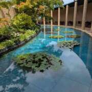 ヒメ日記 2025/12/29 13:58 投稿 りんか 熟女総本店