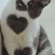 ヒメ日記 2026/01/13 18:32 投稿 りんか 熟女総本店