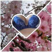 ヒメ日記 2026/03/30 12:23 投稿 りんか 熟女総本店