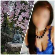 ヒメ日記 2026/04/05 11:22 投稿 りんか 熟女総本店