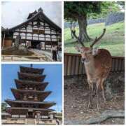 ヒメ日記 2026/04/09 12:36 投稿 りんか 熟女総本店