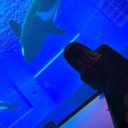 ヒメ日記 2025/04/30 11:56 投稿 もね ドマーニ