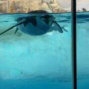 ヒメ日記 2025/05/05 11:57 投稿 もね ドマーニ