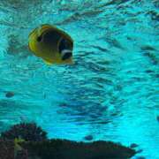 ヒメ日記 2025/05/13 12:25 投稿 もね ドマーニ