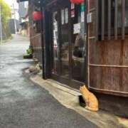 ヒメ日記 2025/05/14 12:38 投稿 もね ドマーニ