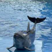 ヒメ日記 2025/05/25 12:18 投稿 もね ドマーニ