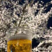 ヒメ日記 2025/06/01 12:37 投稿 もね ドマーニ