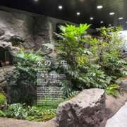 ヒメ日記 2025/06/09 08:59 投稿 もね ドマーニ