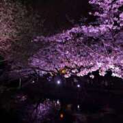 ヒメ日記 2026/04/05 09:47 投稿 もね ドマーニ