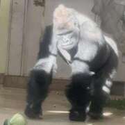 ヒメ日記 2026/05/09 10:26 投稿 もね ドマーニ