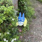 ヒメ日記 2025/08/24 17:45 投稿 れん 新橋Sweets（スウィーツ）