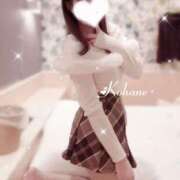 ヒメ日記 2025/04/08 09:02 投稿 楠木　こはね NADIA神戸店