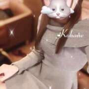 ヒメ日記 2025/04/09 16:11 投稿 楠木　こはね NADIA神戸店