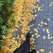 ヒメ日記 2026/01/29 09:47 投稿 のあ 大奥 梅田店