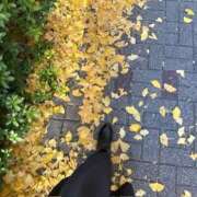 ヒメ日記 2026/01/29 09:53 投稿 のあ 大奥 梅田店