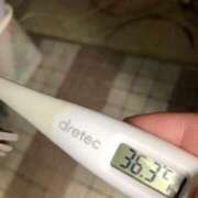 ヒメ日記 2024/12/23 12:30 投稿 アズサ(奥方) 奥様幕府