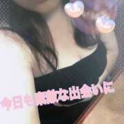 ヒメ日記 2024/12/24 17:57 投稿 アズサ(奥方) 奥様幕府