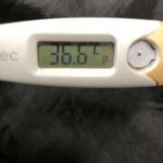 ヒメ日記 2024/12/28 11:27 投稿 アズサ(奥方) 奥様幕府