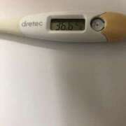 ヒメ日記 2025/01/03 11:07 投稿 アズサ(奥方) 奥様幕府