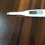 ヒメ日記 2026/02/12 10:07 投稿 アズサ(奥方) 奥様幕府