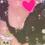 ヒメ日記 2026/02/15 03:27 投稿 アズサ(奥方) 奥様幕府