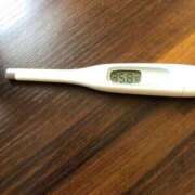 ヒメ日記 2026/02/19 11:07 投稿 アズサ(奥方) 奥様幕府