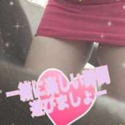 ヒメ日記 2026/02/20 00:07 投稿 アズサ(奥方) 奥様幕府