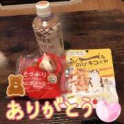 ヒメ日記 2026/02/22 02:37 投稿 アズサ(奥方) 奥様幕府