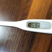 ヒメ日記 2026/02/23 10:27 投稿 アズサ(奥方) 奥様幕府