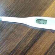 ヒメ日記 2026/02/24 10:47 投稿 アズサ(奥方) 奥様幕府