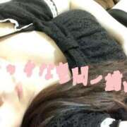 ヒメ日記 2026/02/24 13:37 投稿 アズサ(奥方) 奥様幕府