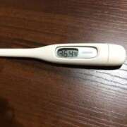 ヒメ日記 2026/02/25 10:17 投稿 アズサ(奥方) 奥様幕府