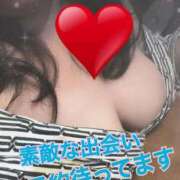 ヒメ日記 2026/02/26 03:41 投稿 アズサ(奥方) 奥様幕府