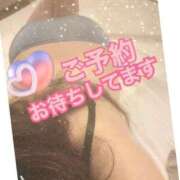 ヒメ日記 2026/02/27 03:57 投稿 アズサ(奥方) 奥様幕府