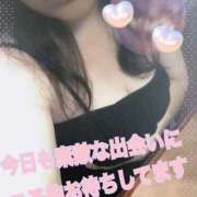 ヒメ日記 2026/04/08 22:57 投稿 アズサ(奥方) 奥様幕府