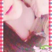 ヒメ日記 2026/04/11 03:37 投稿 アズサ(奥方) 奥様幕府