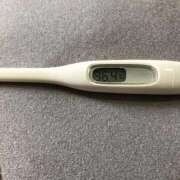 ヒメ日記 2026/04/11 12:12 投稿 アズサ(奥方) 奥様幕府