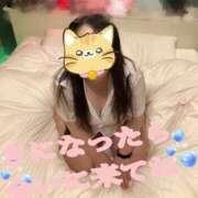 ヒメ日記 2026/04/17 03:37 投稿 アズサ(奥方) 奥様幕府