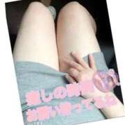 ヒメ日記 2026/04/21 18:15 投稿 アズサ(奥方) 奥様幕府